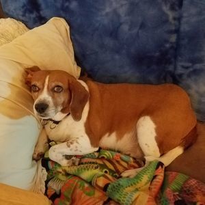 Meet your Posher, Joann